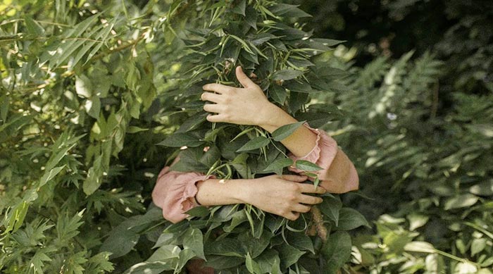 Anya hugging a bundle of leaves