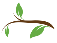 illustration with a branch and leaves