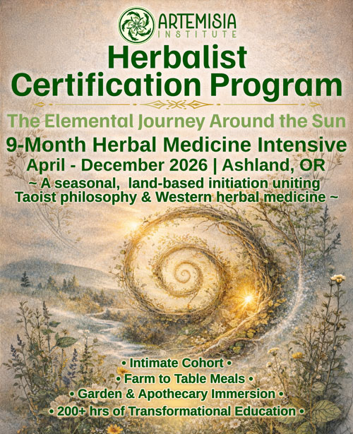 Elemental Journey Around the sun flyer