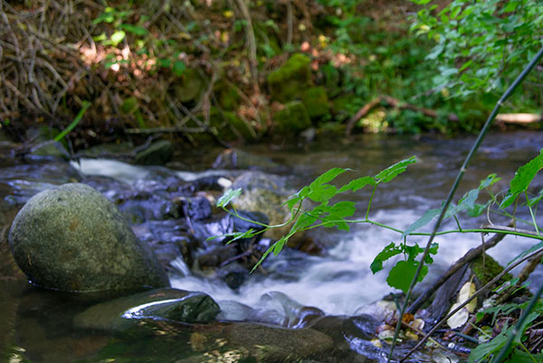 beautiful creek view