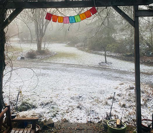 Snowy winter scene